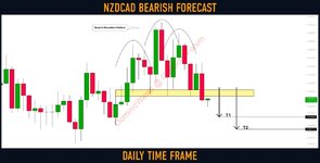 nzdcad.jpg