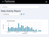 employeeMonitoringStaffDailyActivity.png