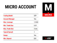 Account Types - Individual.png