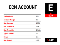 Account Types - Individual ECN.png