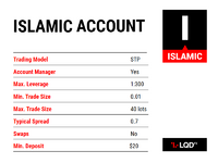 Account Types - Individual Islamic.png