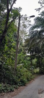 20230729_173527.jpg