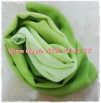 Green Apple New Tone.jpg
