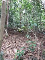 IMG-20230627-WA0015.jpg