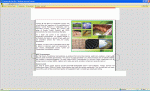 rapat.GIF rapat.GIF