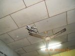 DSCN0651.jpg