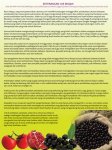 maq100-banner-2.jpg