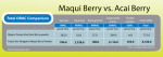 maq100-banner-3.png