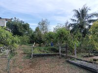 IMG_20240215_181540.jpg