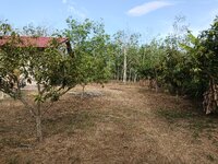 IMG_20240215_181057.jpg