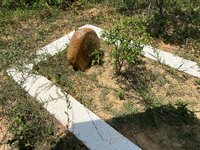 IMG_4018.jpeg