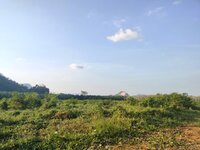 aa9f8951-d23c-4514-ab11-42f4dc577b0a.jpeg