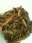 daun.JPG