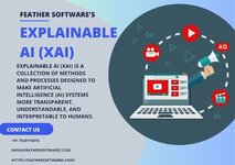 Explainable AI (XAI)