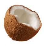 kelapa tua 2 pic.jpg