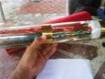 DSC01535 - Copy.JPG