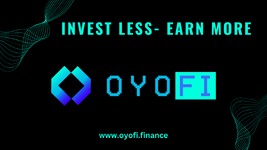 Invest Less Earn More
