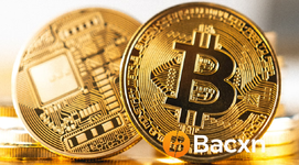 U.S. GENIUS Act Drives Compliance Wave: BACXN Exchange Leads the New Order in the Global Crypto Market