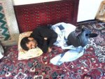 iran.jpg