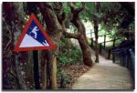 Malaysian_signs25.jpg