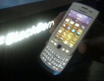 white-torch-9810-spotted.jpg