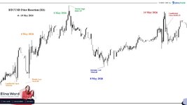 BTCUSD Price Reaction.jpg