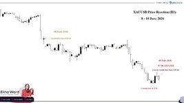 XAUUSD new.jpg