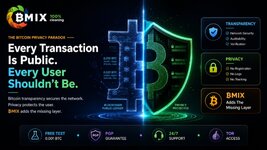 Bitcoin's Transparency Paradox — Community Guide