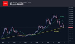 Bitcoin's 200-Week MA: Sejarah Menunjukkan Penantian Selama 11 Bulan
