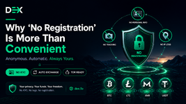 Why 'No Registration' Is More Than Convenience — It's a Different Trust Model for Crypto [DEX.fo Guide]