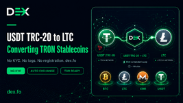 USDT TRC-20 to LTC: Converting TRON-Network Stablecoin to Litecoin in One Step [DEX.fo Guide]