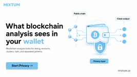 What blockchain analysis sees in your wallet | MixTum