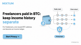 Freelancers paid in BTC: keep income history separate