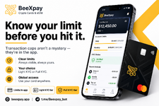 Card Limits Explained: What Caps Apply and How to Check Yours First