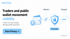 Traders and public wallet movement visibility | MixTum