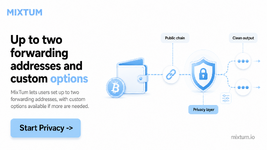 Up to two forwarding addresses and custom options | MixTum