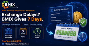 BMIX Guide: Handling exchange or service withdrawal delays without rushing