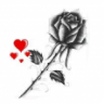 rose_79999999
