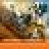 dyomi