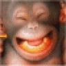 eddikl