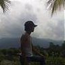 laneis