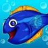 bigfishforex
