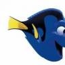 ikan dory