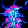 pinky@blue