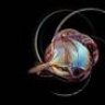 evolz07