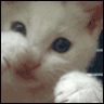 Annie