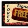 stationpipfx global