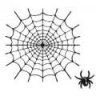 amizanhelmi
