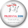 prubsnjohor