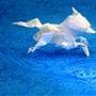 kirin